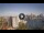 Webcam in Sydney, 702.8 km entfernt