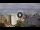 Webcam in Sydney, 286.8 mi away