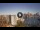 Webcam in Sydney, 701.9 km