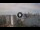 Webcam in Sydney, 1167.6 km