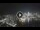 Webcam in Sydney, 692.5 km entfernt