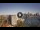 Webcam in Sydney, 713.9 km entfernt