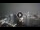 Webcam in Sydney, 737.3 km