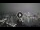 Webcam in Sydney, 713.8 km