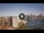 Webcam in Sydney, 286.8 mi away