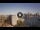 Webcam in Sydney, 686.6 km