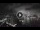 Webcam in Sydney, 712.5 km
