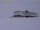 Webcam at the Neumayer Station III, 1183.2 mi away