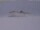 Webcam à la Neumayer Station III, 3497.1 km