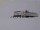 Webcam at the Neumayer Station III, 158.8 mi away