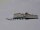 Webcam at the Neumayer Station III, 796.7 mi away