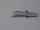 Webcam in Neumayer Station III, 2284.7 km