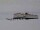 Webcam in Neumayer Station III, 2284.7 km