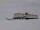 Webcam in Neumayer Station III, 1795.2 km