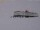 Webcam at the Neumayer Station III, 1349.3 mi away