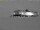 Webcam in Neumayer Station III, 1795.2 km