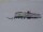 Webcam in Neumayer Station III, 2357.5 km