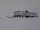 Webcam à la Neumayer Station III, 2357.5 km