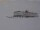 Webcam in Neumayer Station III, 2148.9 km