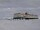 Webcam at the Neumayer Station III, 827.8 mi away