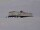 Webcam at the Neumayer Station III, 905.1 mi away