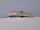 Webcam at the Neumayer Station III, 905.1 mi away