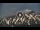 Webcam in Linguaglossa, 43.5 km entfernt