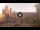 Webcam in Palerme, 0.4 km