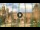 Webcam in Palermo, 21.2 mi away