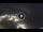 Webcam in Pesaro, 34.7 km