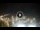 Webcam in Riccione, 1.3 km entfernt