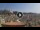 Webcam in Scicli, 59.8 km
