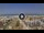 Webcam in Rimini, 4.6 km