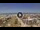 Webcam in Rimini, 4.6 km entfernt