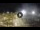 Webcam in Rimini, 1.6 mi away