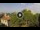 Webcam in Loreto Aprutino, 25.5 km entfernt