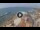 Webcam in Punta Secca, 25.6 km