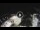 Webcam in Punta Secca, 20.3 mi away