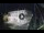 Webcam in Vicenza, 11.7 mi away