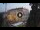 Webcam in Vicenza, 12.9 mi away