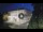 Webcam in Vicence, 30.3 km