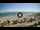 Webcam in Riccione, 0.5 mi away