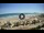 Webcam in Riccione, 0.5 mi away