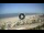 Webcam in Riccione, 2.5 km