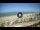 Webcam in Riccione, 0.5 mi away