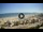 Webcam in Riccione, 0.9 km entfernt