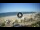 Webcam in Riccione, 0.2 km