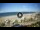 Webcam in Riccione, 0.5 mi away