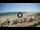 Webcam in Riccione, 0.5 mi away