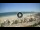Webcam in Riccione, 0.5 mi away